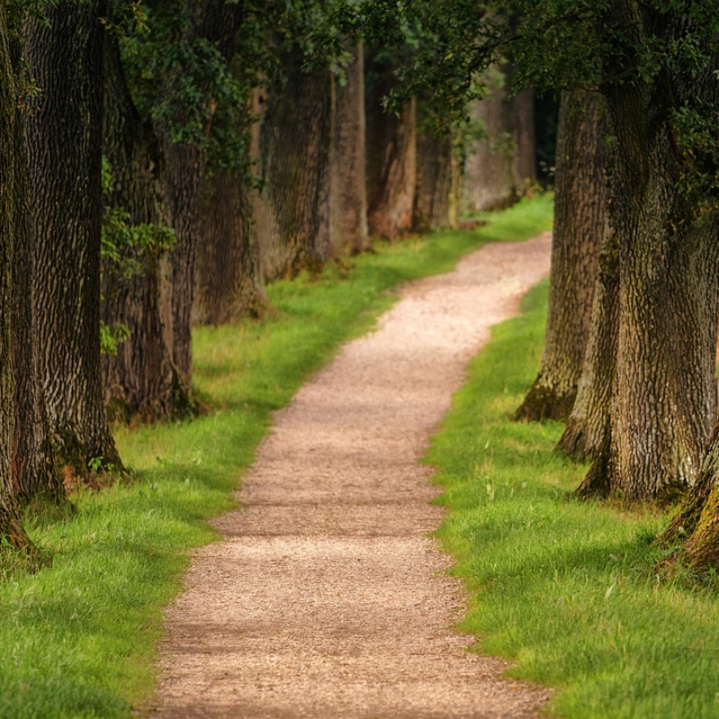 „Prohodaj Gradac“ u subotu u Valjevu
