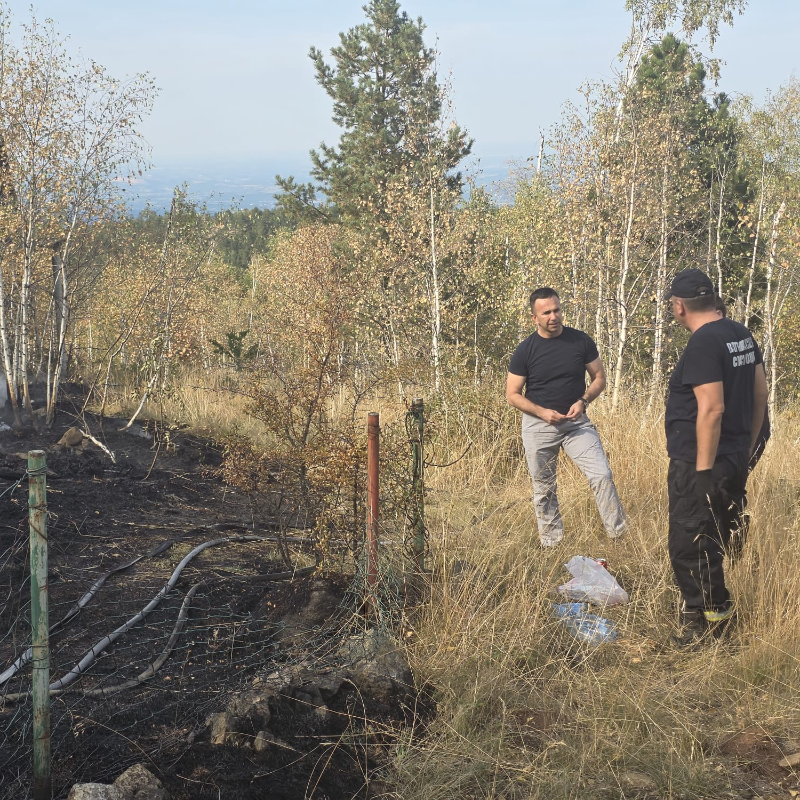 Пожар на Дивчибарама брзо угашен, ватра није стигла до викендица